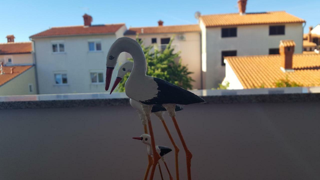 Bevanda Pula Bagian luar foto